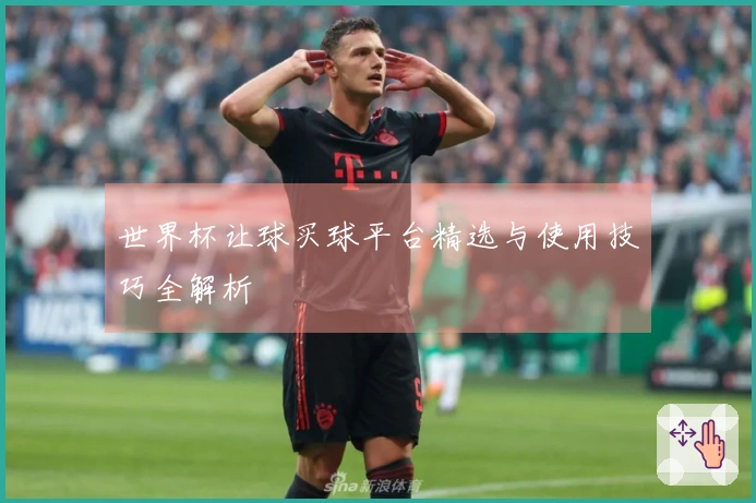 世界杯让球买球平台精选与使用技巧全解析
