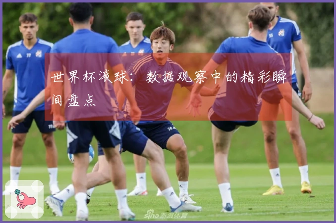 世界杯滚球：数据观察中的精彩瞬间盘点