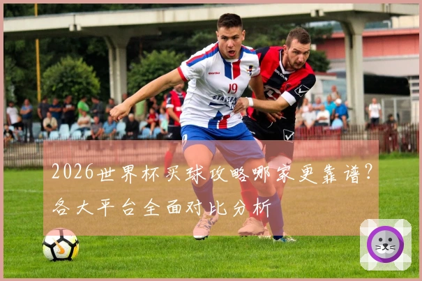 2026世界杯买球攻略哪家更靠谱？各大平台全面对比分析