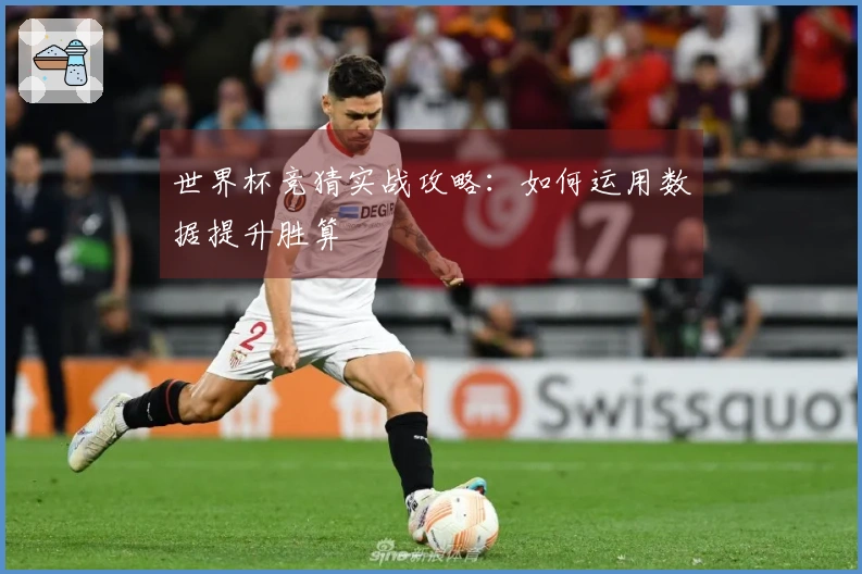 世界杯竞猜实战攻略：如何运用数据提升胜算