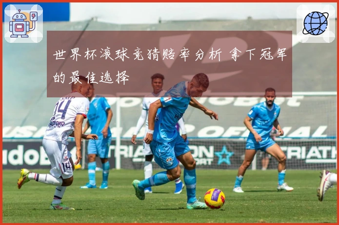 世界杯滚球竞猜赔率分析 拿下冠军的最佳选择