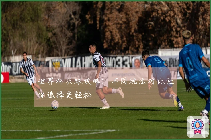 世界杯买球攻略：不同玩法对比让你选择更轻松