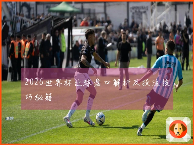 2026世界杯让球盘口解析及投注技巧秘籍