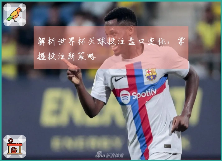 解析世界杯买球投注盘口变化，掌握投注新策略
