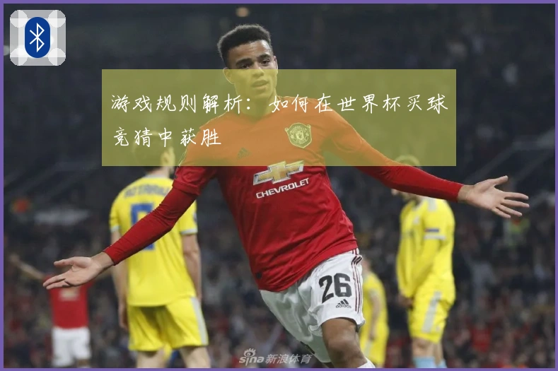 游戏规则解析：如何在世界杯买球竞猜中获胜