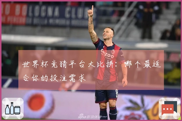 世界杯竞猜平台大比拼：哪个最适合你的投注需求