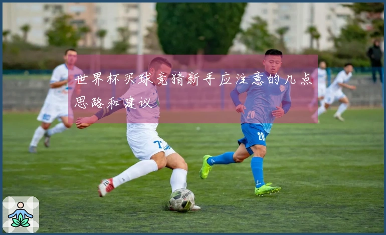 世界杯买球竞猜新手应注意的几点思路和建议
