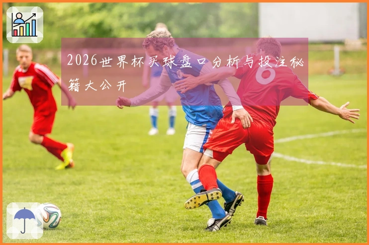 2026世界杯买球盘口分析与投注秘籍大公开