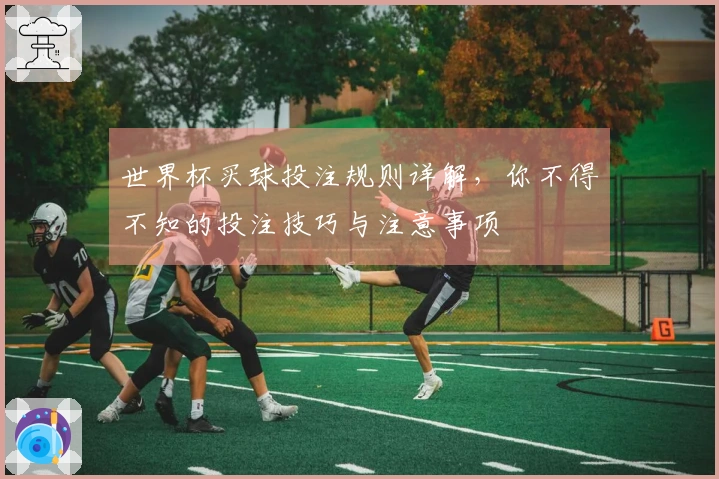世界杯买球投注规则详解，你不得不知的投注技巧与注意事项