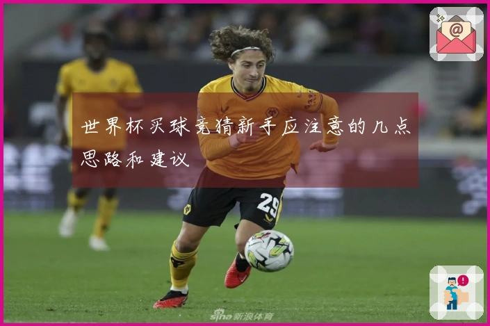 世界杯买球竞猜新手应注意的几点思路和建议