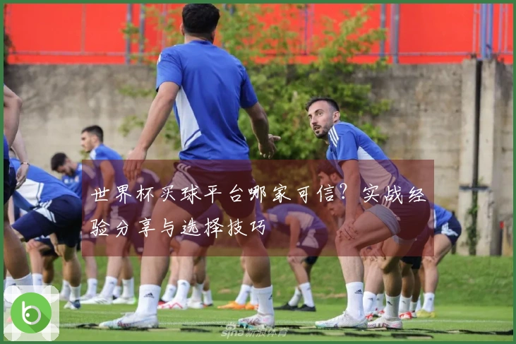 世界杯买球平台哪家可信？实战经验分享与选择技巧