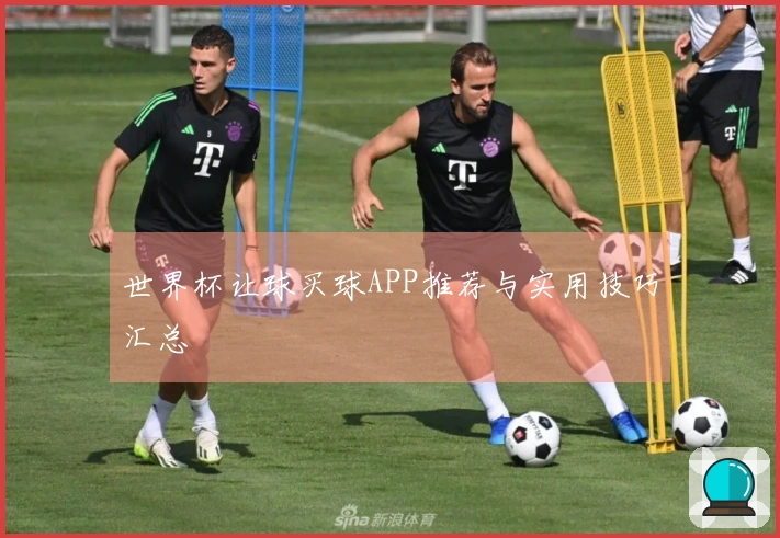 世界杯让球买球APP推荐与实用技巧汇总