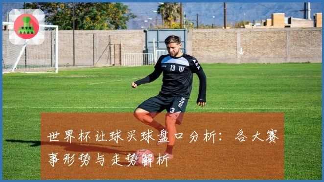 世界杯让球买球盘口分析：各大赛事形势与走势解析