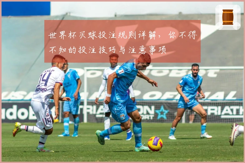世界杯买球投注规则详解，你不得不知的投注技巧与注意事项