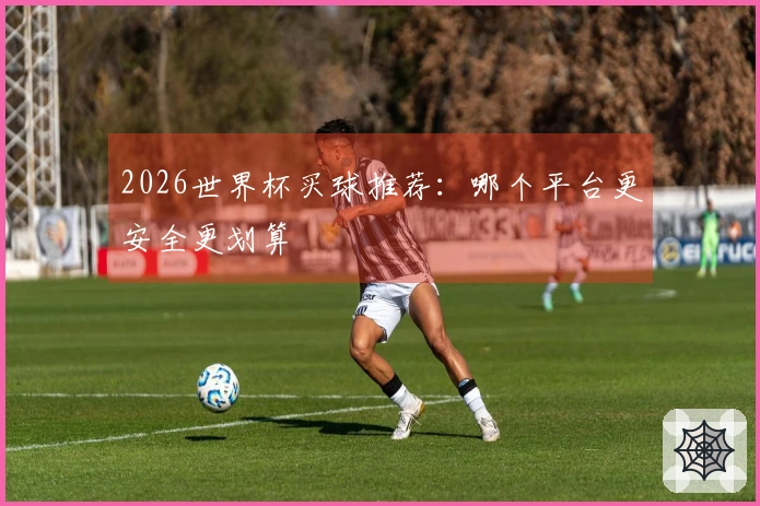 2026世界杯买球推荐：哪个平台更安全更划算