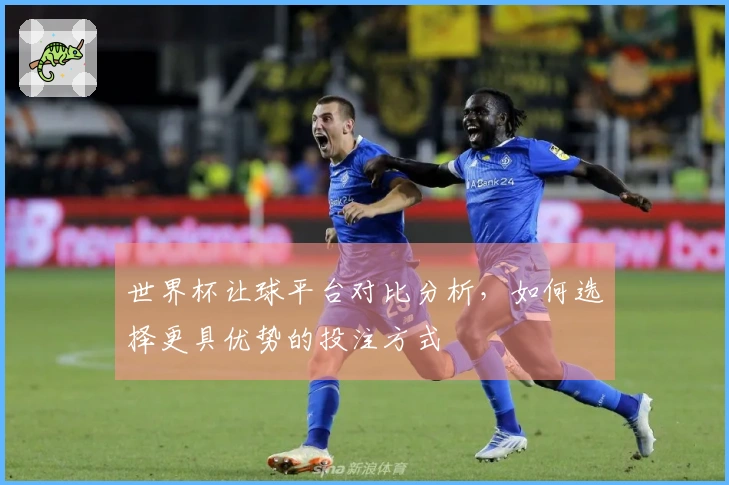世界杯让球平台对比分析，如何选择更具优势的投注方式