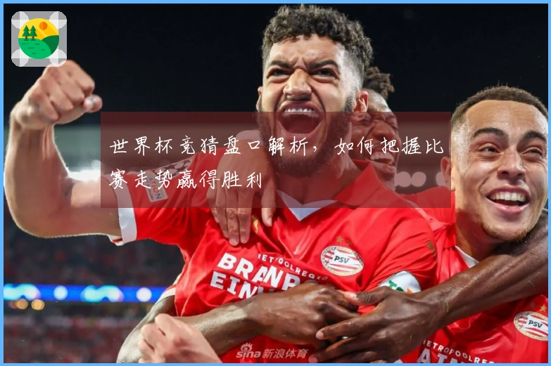 世界杯竞猜盘口解析，如何把握比赛走势赢得胜利
