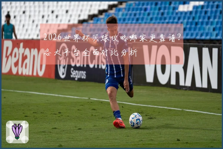 2026世界杯买球攻略哪家更靠谱？各大平台全面对比分析