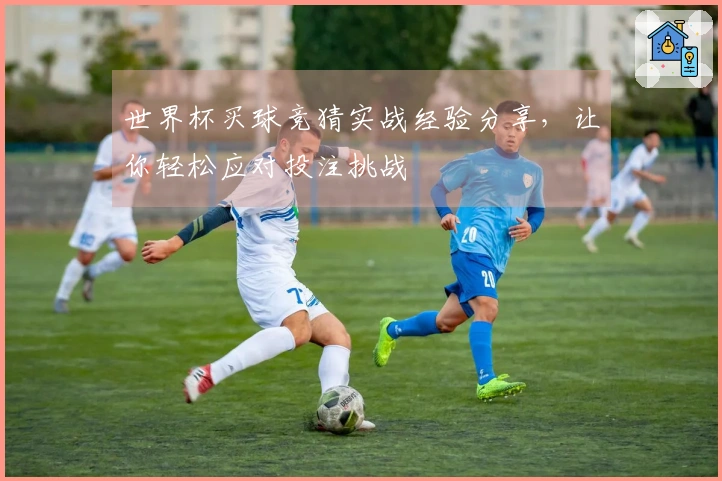 世界杯买球竞猜实战经验分享，让你轻松应对投注挑战