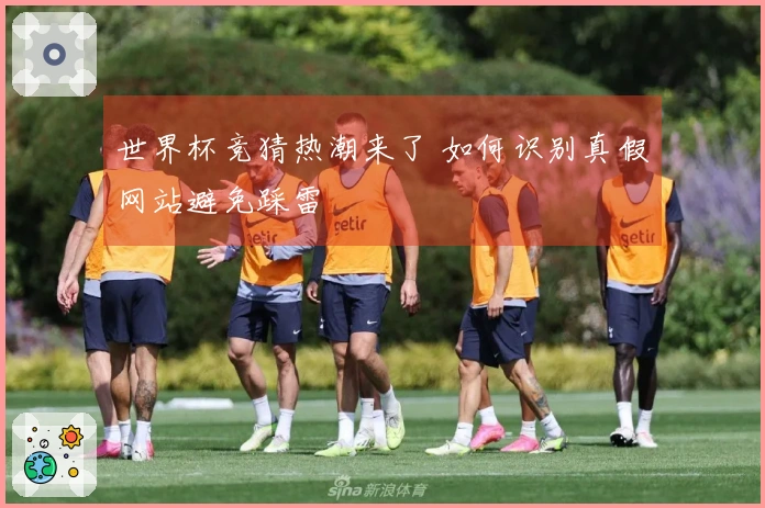 世界杯竞猜热潮来了 如何识别真假网站避免踩雷